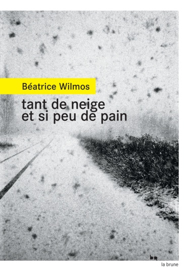 WILMOS_tant_de_neige_et-si_peuV