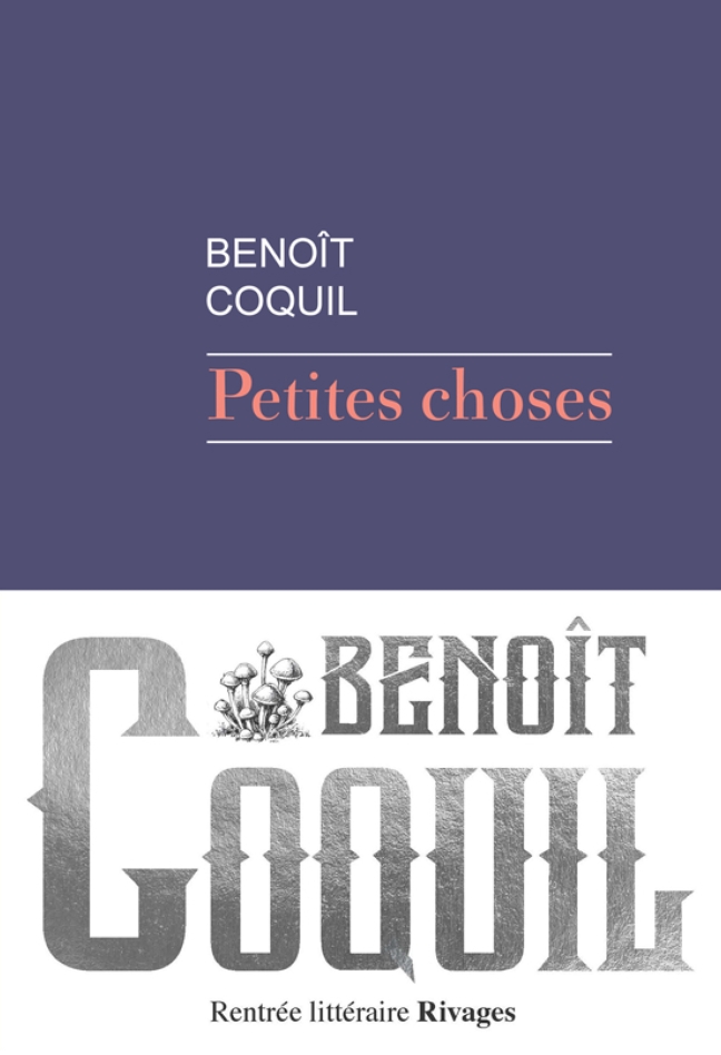 COQUIL_petites_choses
